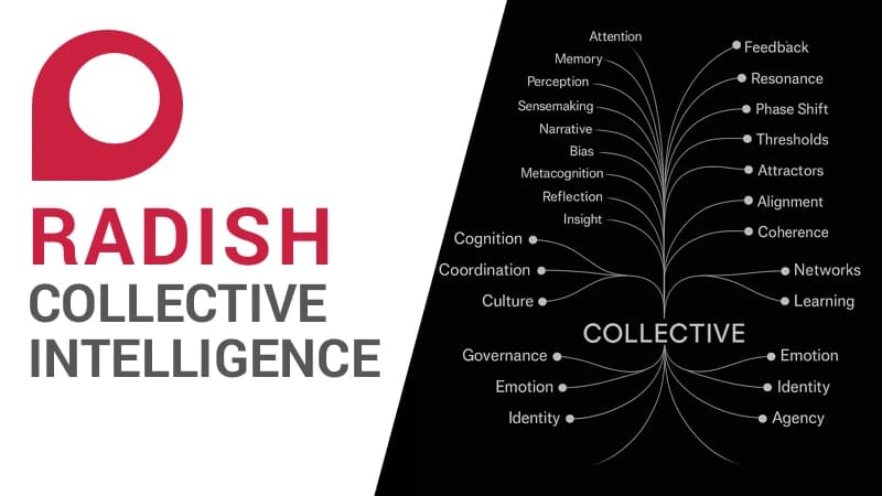 Radish Collective Intelligence Platform